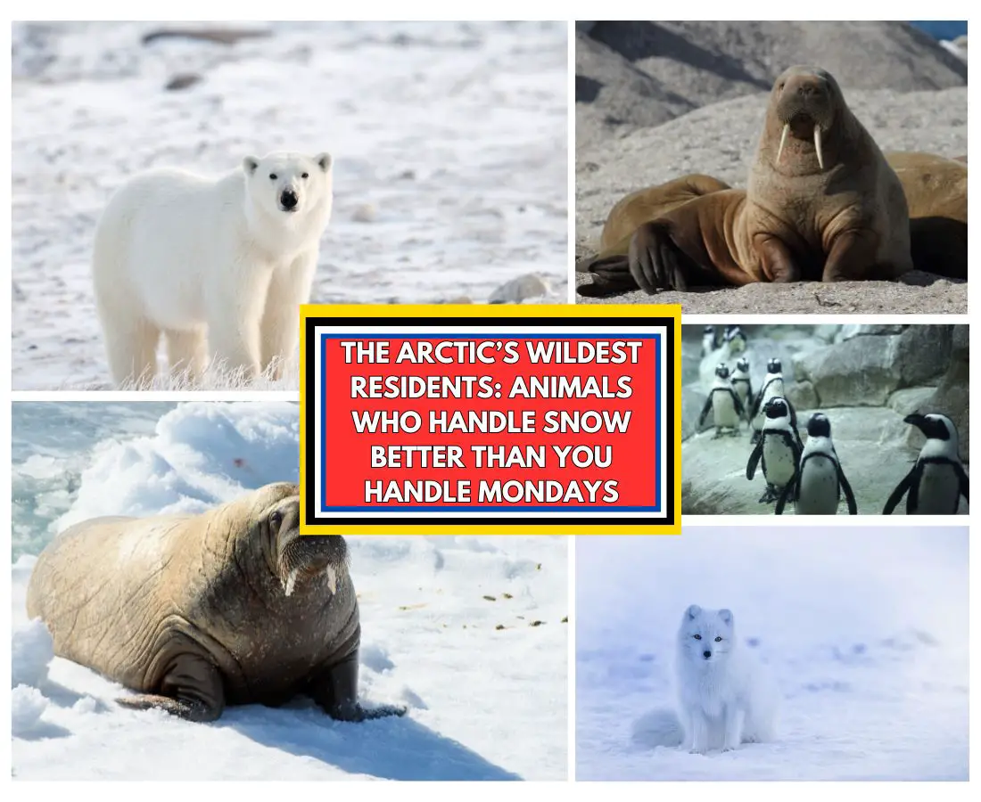 Best Arctic Animals That Will Blow Your Mind (And Maybe Make You Reconsider Your Life Choices)