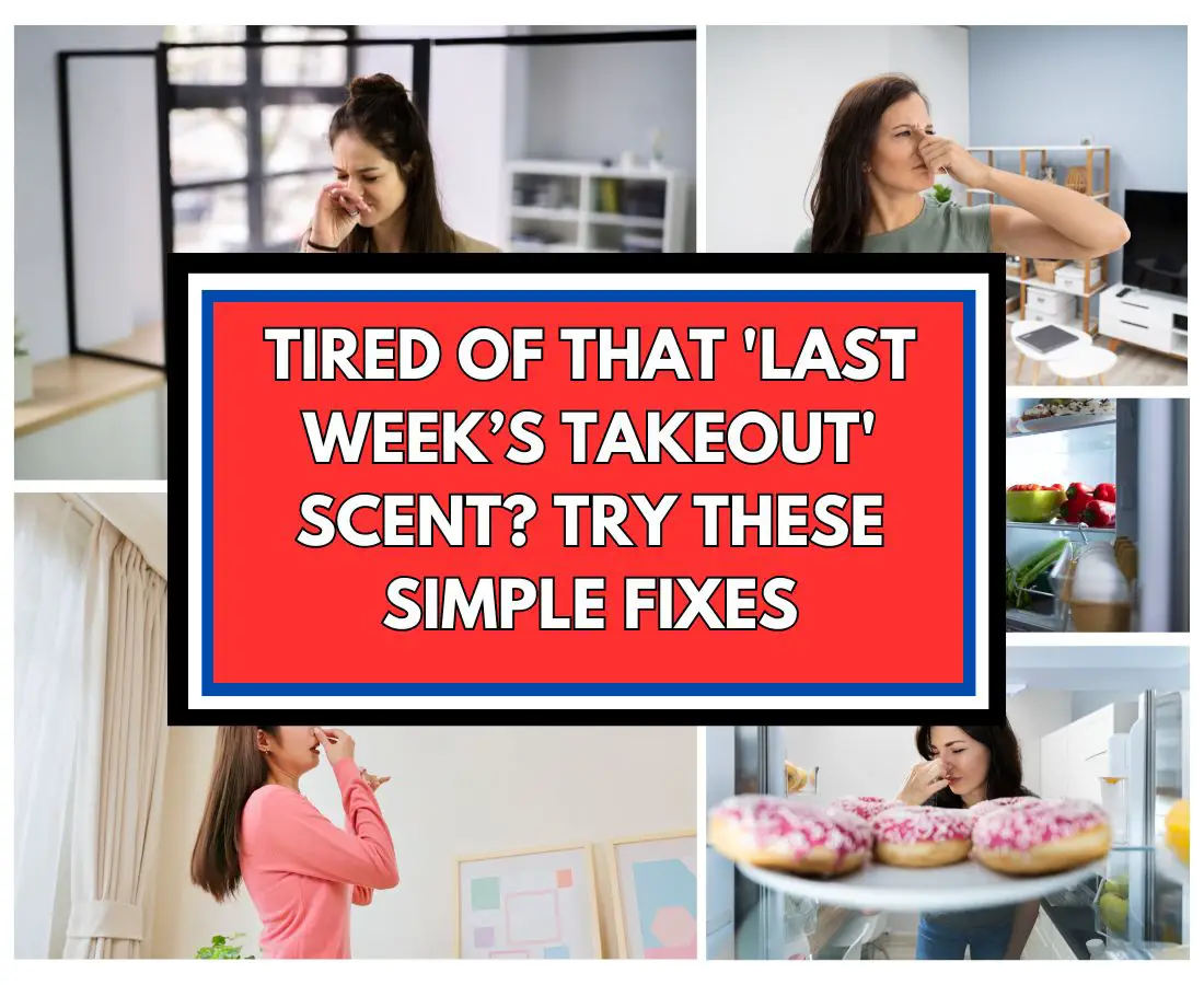 Why Your Home Smells Like Last Week’s Takeout (And How to Fix It Like a Pro)