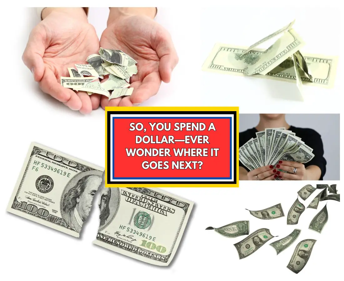 What Happens to Dollar Bills After You Spend Them? (Spoiler: It’s a Wild Ride)